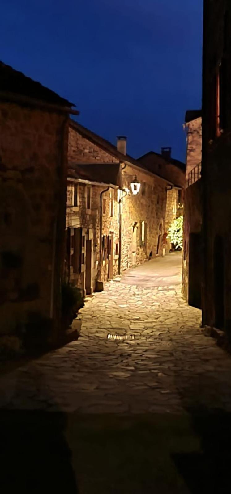 The Tavern Castelnau-Pegayrols Exterior photo
